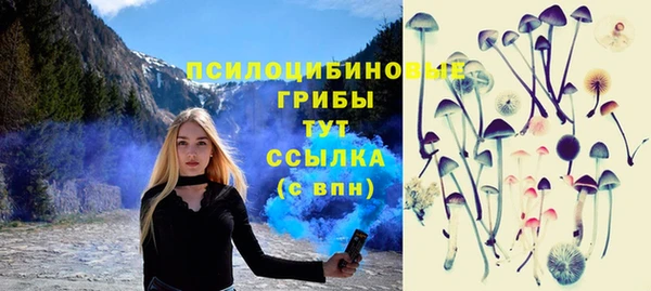 кокс Аркадак